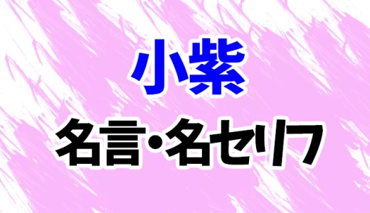 【ワンピース】小紫の名言・名セリフ20選！【光月日和】